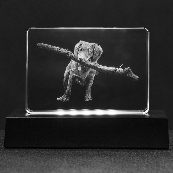 IMAGE CRYSTAL
