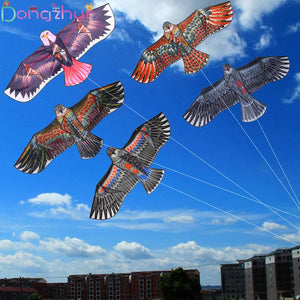 KITES